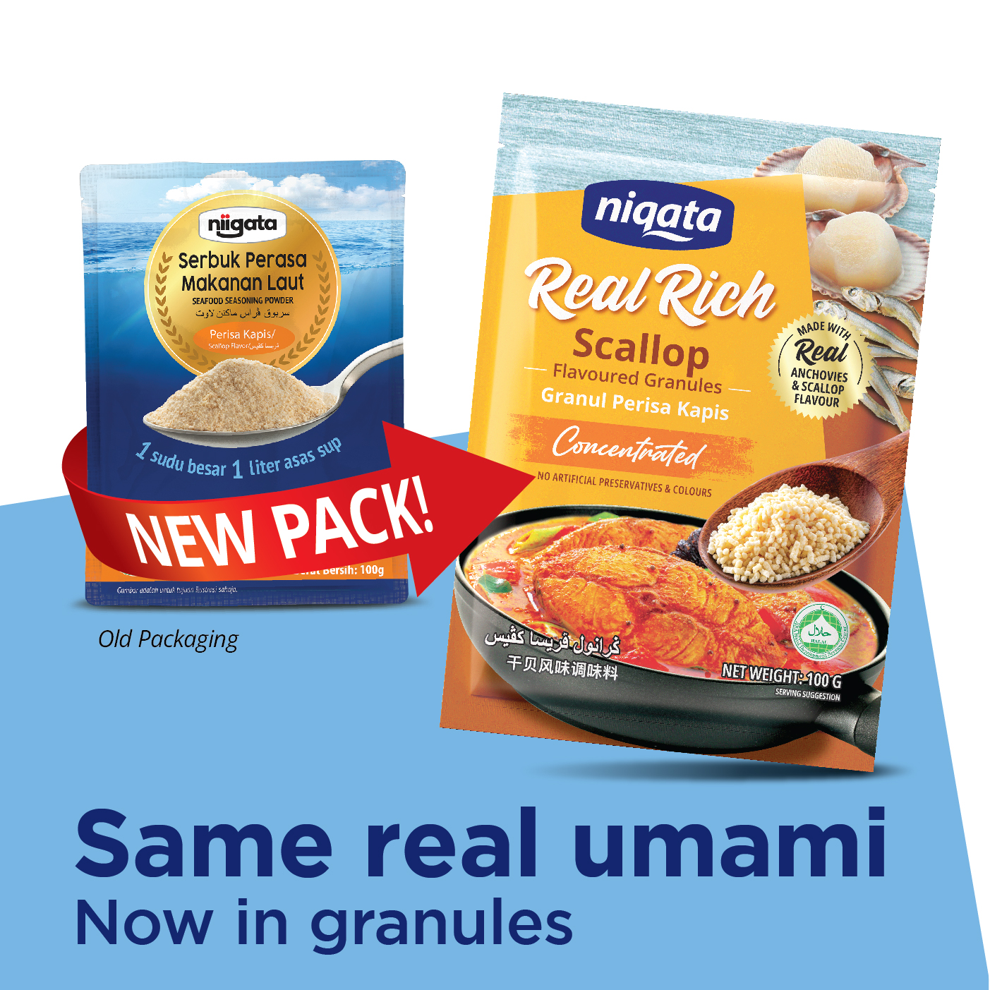 Scallop Flavoured